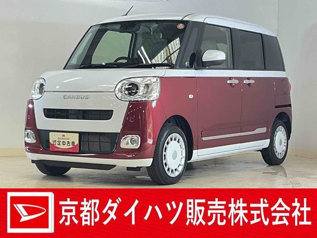 ムーヴキャンバス ストライプス G
