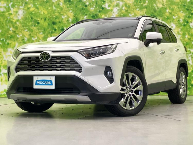 RAV4 2.0 G Zパッケージ 4WD