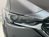 LEDヘッドライトは、点灯の瞬間から最大光量を発揮し、突然暗くなるトンネルなどでの安定感を高めます。