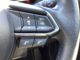 ステアリングスイッチで、先行車に自動追従するアダプティブクルーズコントロールが作動可能。設定した車速内での車間距離を自動で調整・維持。高速道路の渋滞時もアクセル・ブレーキ操作から解放されます。