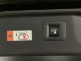 バックドアの底部にパワーバックドアスイッチとパワーバックドアクローズ&ロックボタンが付いてます。