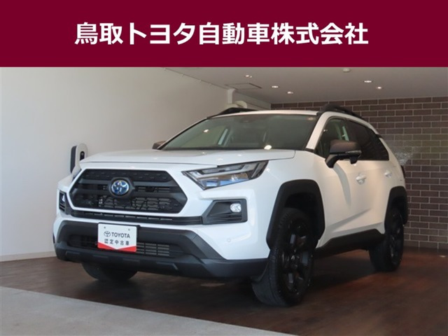 RAV4 2.5 ハイブリッド アドベンチャー オフロードパッケージ II E-Four 4WD