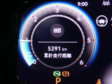 まだまだこれからの走行距離です。