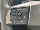 ハンドルの左側にはプロパイロットのスイッチが装備されています。高速道路で前車に追従クルーズ(アクセル・ブレーキ・ハンドル制御)ができて運転の疲れを軽減します。