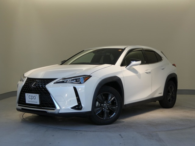UX 250h バージョンC 