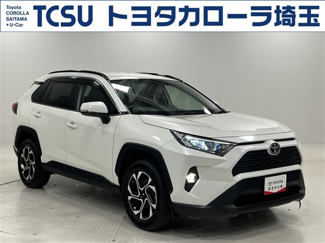 RAV4 2.0 X 