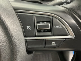 アクセルから足を離しても設定したスピードを保ち走行し、高速道路での疲労軽減に役立つクルーズコントロール付きです!