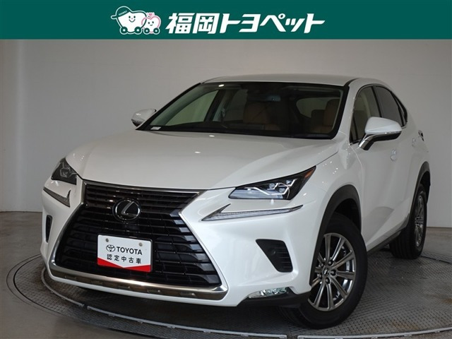 NX 300 Iパッケージ 4WD 