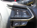ステアリングスイッチで、先行車に自動追従するアダプティブクルーズコントロールが作動可能。設定した車速内での車間距離を自動で調整・維持。高速道路の渋滞時もアクセル・ブレーキ操作から解放されます。