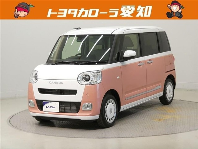 ムーヴキャンバス  ストライプス G