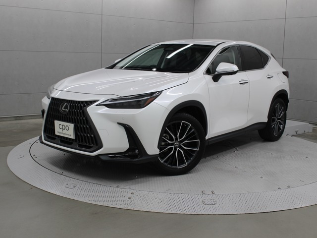 NX