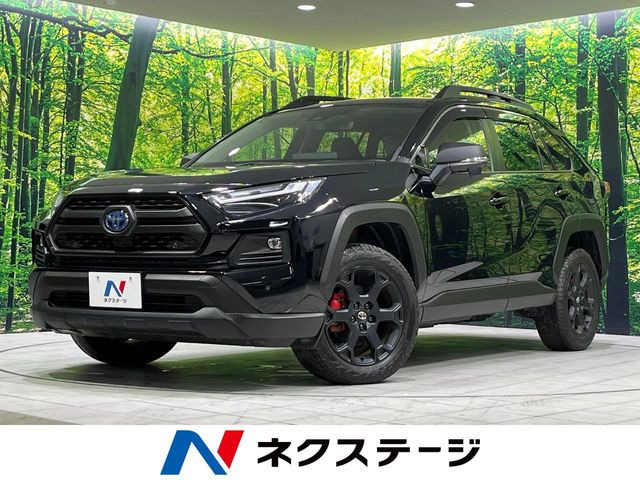 RAV4 2.5 ハイブリッド アドベンチャー オフロードパッケージ II E-Four 4WD 