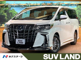 リアエンターテインメント 10型ナビフルセグ 全周囲カメラ 黒革 ETC