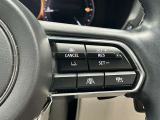 【レーダークルーズコントロール】ミリ波レーダーが車間距離を測って設定車速内で車速に比例した車間距離を保ちながら追従走行する装置で近づきすぎたときは自動でブレーキし、離れすぎたときには自動増速もする。