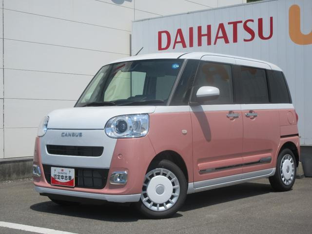 ムーヴキャンバス  ストライプス G