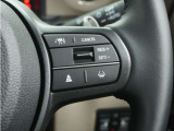 ◆アダプティブクルーズコントロール◆予め設定した車速内でクルマが自動的に加減速。前走車との適切な車間距離を維持しながら追従走行します。【LKAS】車線維持支援システムでステアリング操作を支援。