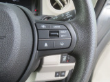 HondaSENSINGの機能のスイッチです。高速道路で活躍するオートクルーズやレーンキープシステムを操作します
