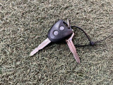 新車から中古車まで取り扱っております