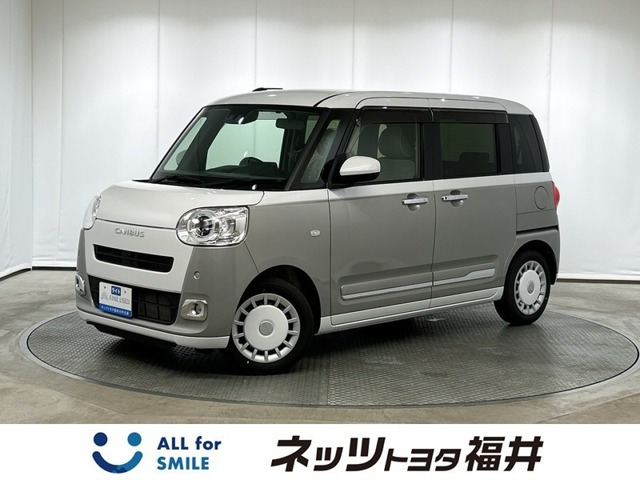 ムーヴキャンバス ストライプス G