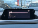 オーディオはFM/AM/Bluetooth/USB/CD/DVD/地上デジタルTVが利用できます。