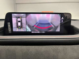 360&deg;モニターです