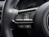 オーディオの音量やチャンネル操作ができるスイッチが、ハンドルに付いています。運転中でも、操作が行えて非常に安全・便利です!