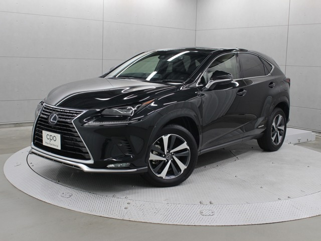 NX 300h スパイス&シック