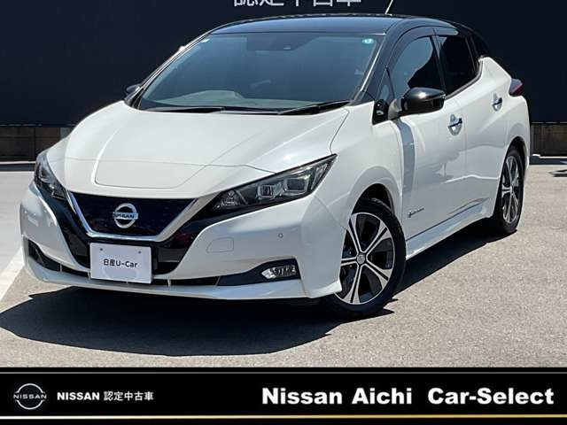 リーフ X 10万台記念車