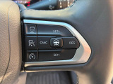 車両レーダーが前方車を検知、設定した速度よりも遅い車両が現れても、設定された車間距離を保つためにエンジンブレーキとシフトダウンによって自動減速します。車間距離が開けば、設定された速度まで再加速します。