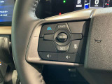 プロパイロット搭載車両です。追従のクルーズコントロールにハンドル支援で長距離運転も疲れません!