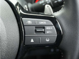◆アダプティブクルーズコントロール◆予め設定した車速内でクルマが自動的に加減速。前走車との適切な車間距離を維持しながら追従走行します。【LKAS】車線維持支援システムでステアリング操作を支援。