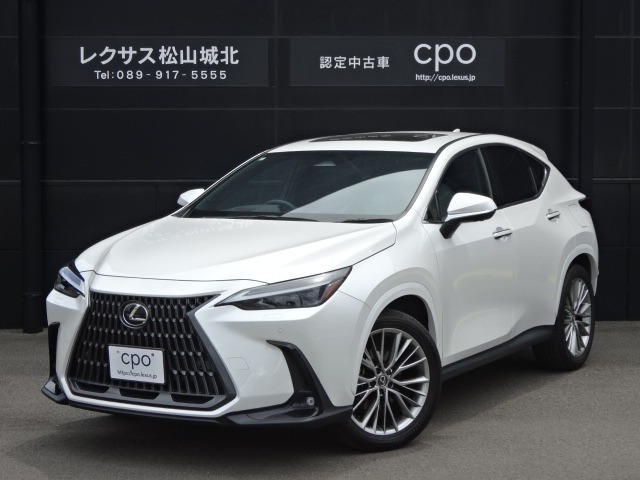 NX 250 バージョンL 4WD 