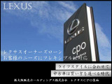NX 300 スパイス&シック