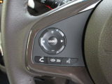 ハンドルにオーディオの操作スイッチが装備されています。視線を前方から外さずハンドルから手を離さずに操作できるので安心です。