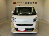 ムーヴキャンバス  ストライプス G