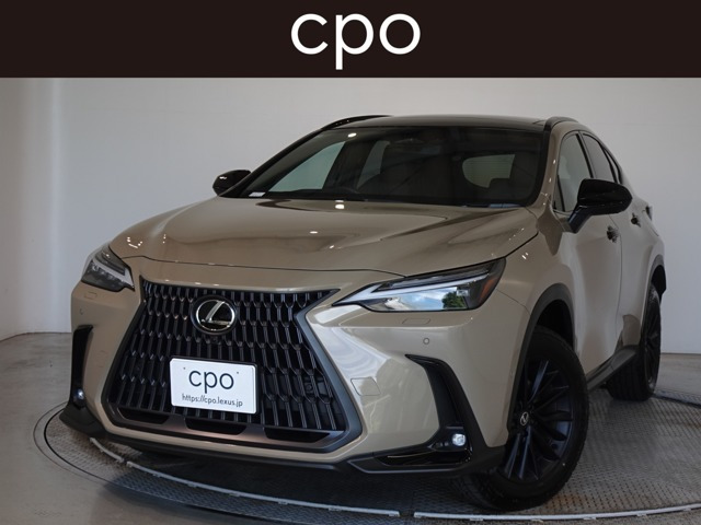 NX 350 オーバートレイル 4WD 