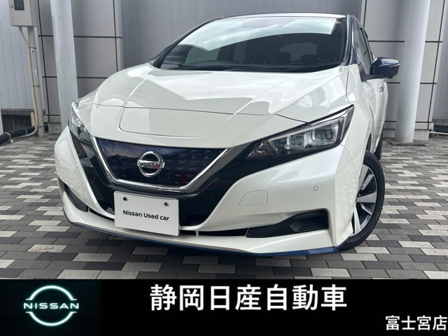 リーフ e+ X 