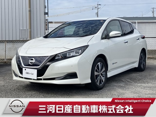 リーフ X 
