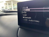 オーディオソースはこのようになっています。