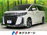 両側電動スライド 後席モニター 純正10.5型ナビ レーダークルーズ