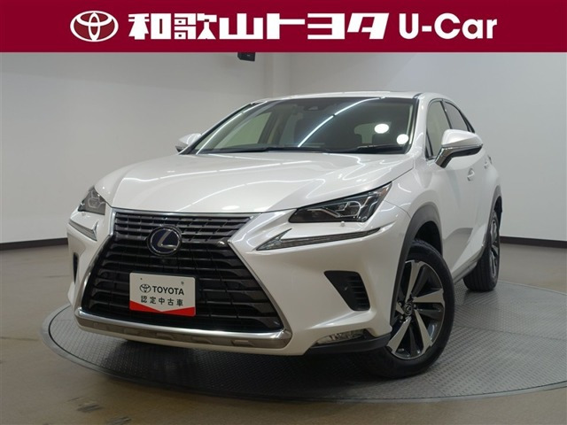 NX 300h Iパッケージ 