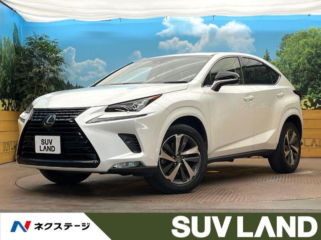 NX 300 ブラック シークエンス 