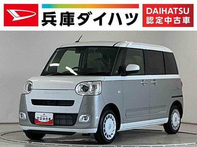 ムーヴキャンバス ストライプス G