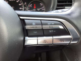 ステアリングスイッチで、先行車に自動追従するアダプティブクルーズコントロールが作動可能。設定した車速内での車間距離を自動で調整・維持。高速道路の渋滞時もアクセル・ブレーキ操作から解放されます。