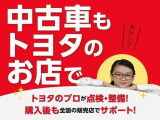 ムーヴキャンバス  ストライプス G