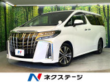 両側電動スライド パワーバックドア 3眼LEDヘッドランプ バックカメラ