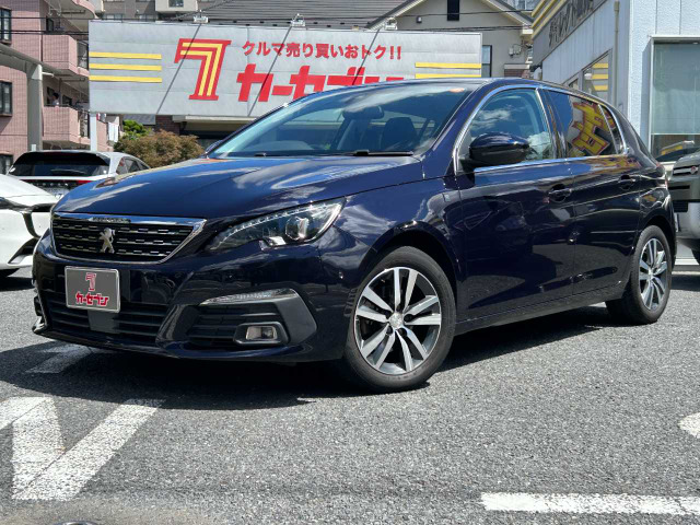 308 テックパックエディション