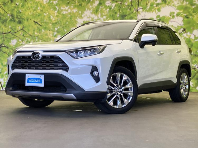 RAV4 2.0 G Zパッケージ 4WD 