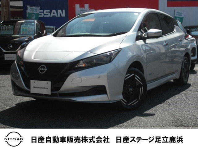 リーフ e+ X 