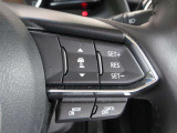ステアリングスイッチで、先行車に自動追従するアダプティブクルーズコントロールが作動可能。設定した車速内での車間距離を自動で調整・維持。高速道路の渋滞時もアクセル・ブレーキ操作から解放されます。